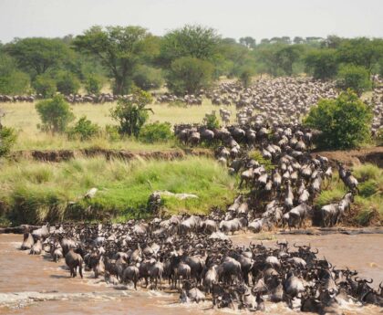 Witnessing the Great Migration